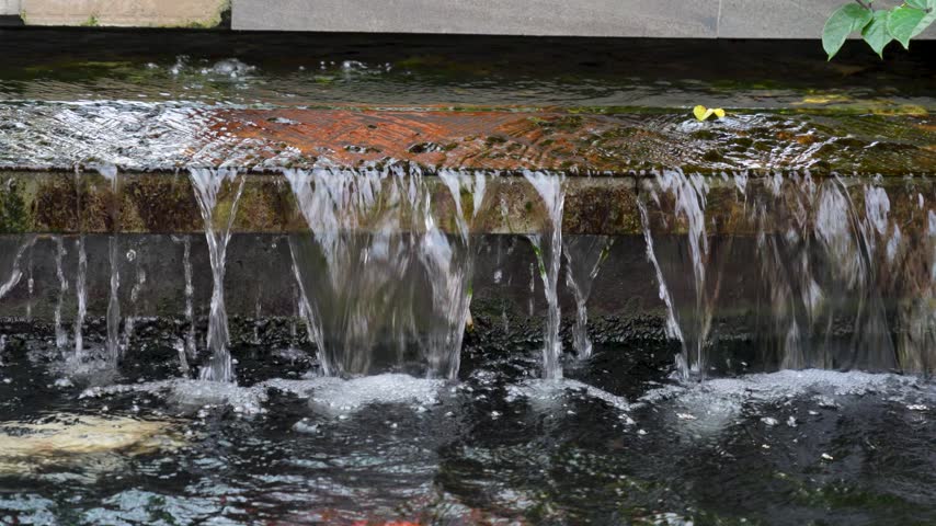 Clean water cascading down a stone edge into a garden fountain pool with a small yellow flower petal floating above.