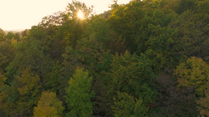 AERIAL, LENS FLARE: Low golden sun shines across a colorful autumn forest, creating dramatic sunbeams. Lush deciduous treetops with changing leaves and layered hills glow in sunset light on a fall day