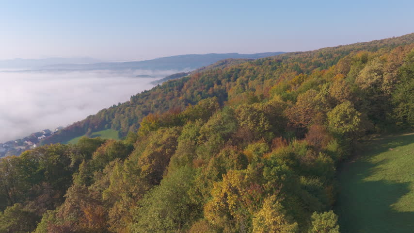 AERIAL: Soft morning fog fills the valley below colorful autumn forest that stretches over rolling hills. Peaceful countryside scenery full of seasonal color and quiet atmosphere of an early day.