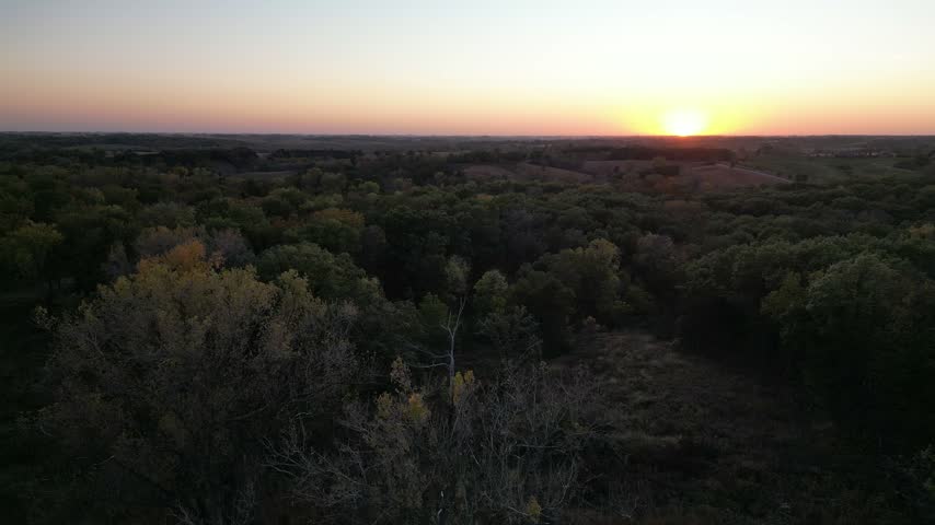 Iowa woodland at sunset from a drone flying up into the sky. 4k, drone, flying up