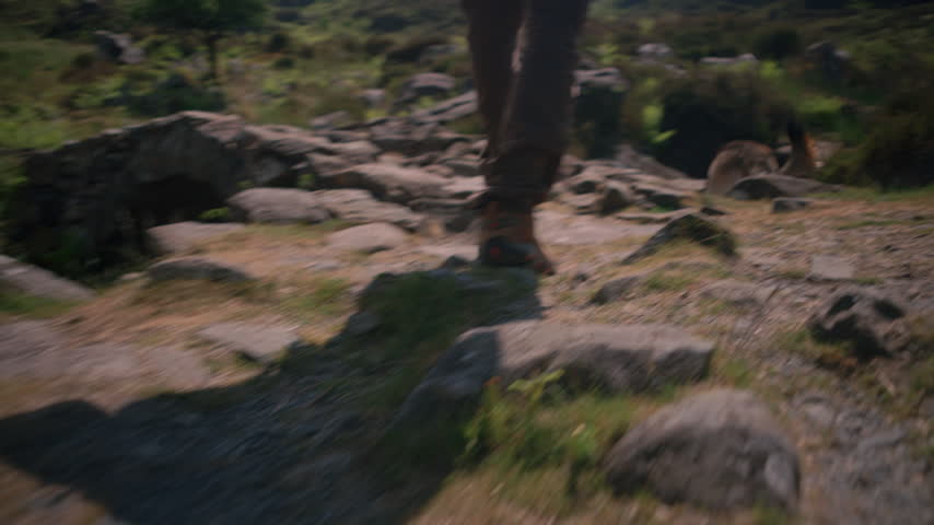 A hiker with a large backpack walks through a mossy woodland trail lined with old stone walls.