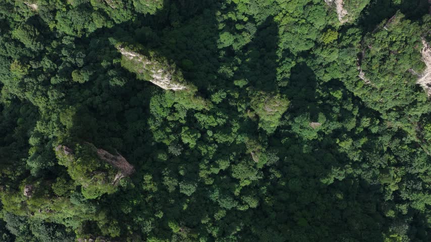 Beautiful landscape in Zhangjiajie, China	