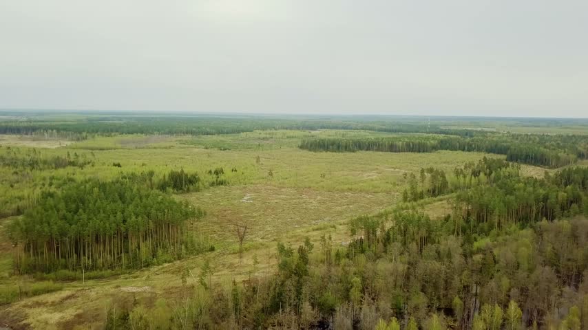 Aerial view of a swampy meadow and dense forest landscape under a cloudy sky during early spring.