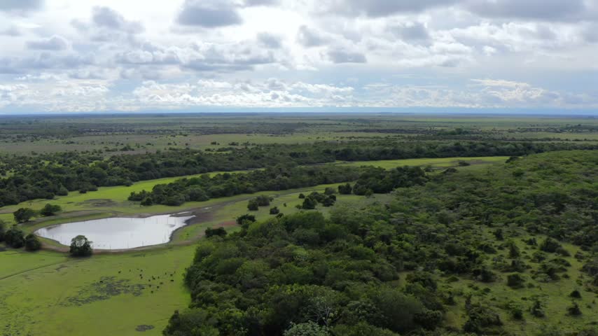 A small lagoon bordered by trees sits within a sprawling patchwork of grassland and forest beneath a wide cloudy sky in the Colombian Llanos, dolly left aerial