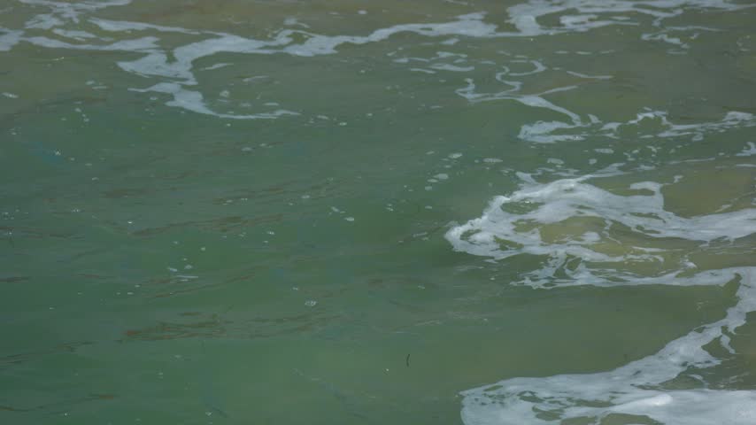close up of waves washing over beach rocks on the sand