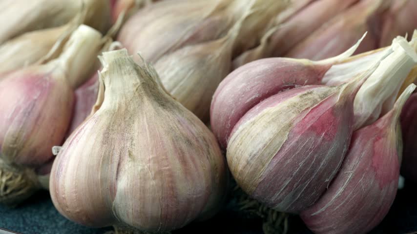 Unpeeled fresh organic garlic bulbs rotating in close up view. Harvesting and agriculture. Farming. Vegetables.	