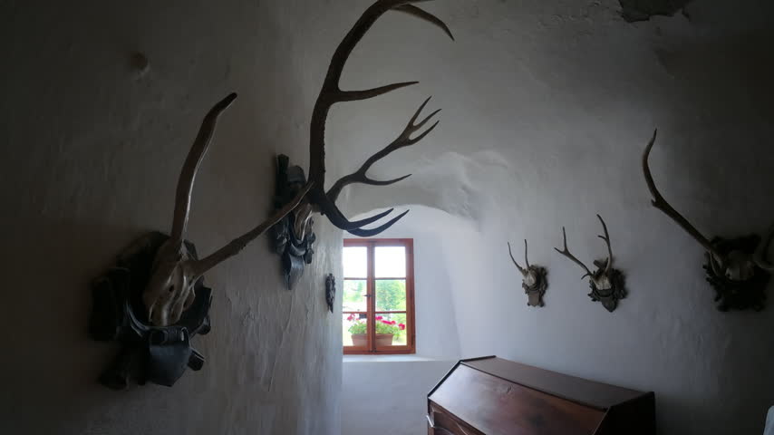 Hunting trophies decorating a dimly lit hallway inside  at Predjama Castle