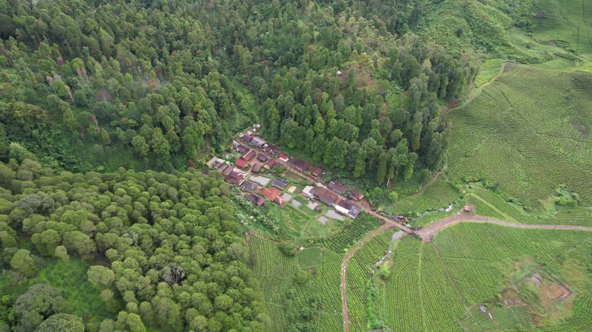 Drone shot of a rural settlement bordered by dense green forest and terraced tea fields under natural light.