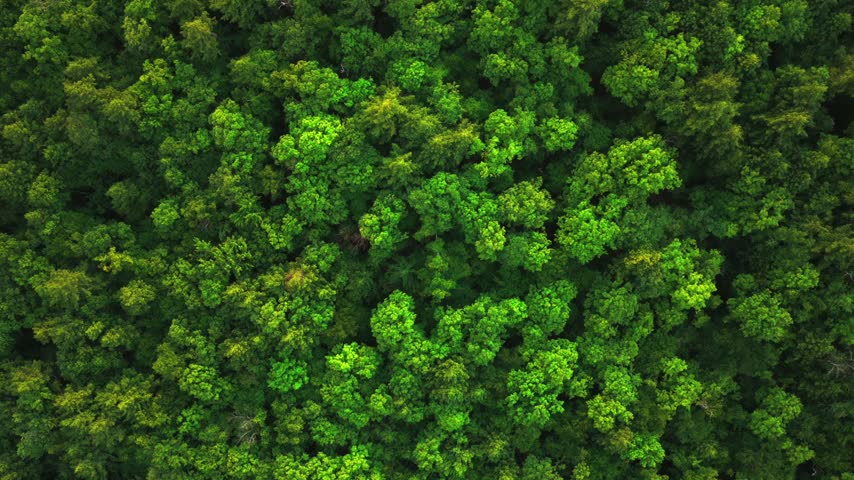 Adirondack Forest Preserve birdseye view Pharaoh Mountains Wilderness Adirondack Mountains landscape aerial drone Up State New York sunset hiking Lake Schroon summer golden hour mist clouds forwards