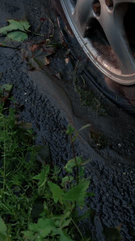 Vehicle wheel rolling beside wet muddy roadside with grass and fallen leaves after rainfall