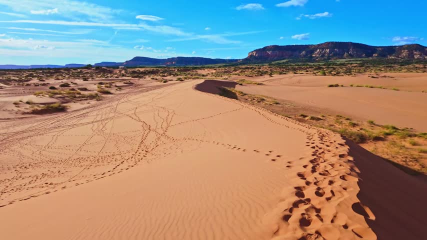 Golden sunset light bathes sweeping reddish sand ridges and desert terrain from atop a massive dune in Coral Pink Sand Dunes State Park
