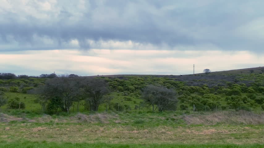 Bush Green Field side view. Shot from the road. Clouds in the sky.