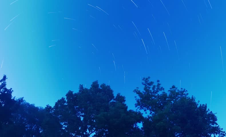 Timelapse of star trails moving across a calm night sky above a forest,Timelapse of starry night sky over forest