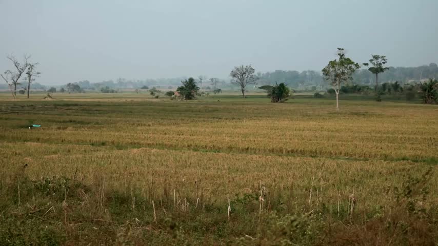 View of the multinational paratrooper landing zone.