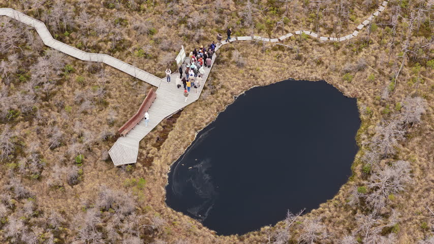 Overhead aerial view of an oval bog pond with a boardwalk platform and a crowd, Tinovul Mohos, Harghita, Romania.