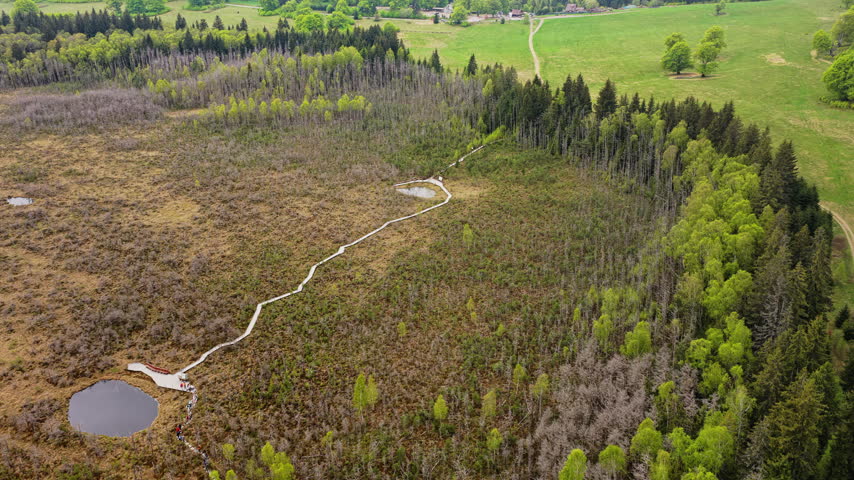Aerial drone view of a peat bog with a winding boardwalk, ponds and a meadow, Tinovul Mohos, Harghita, Romania.