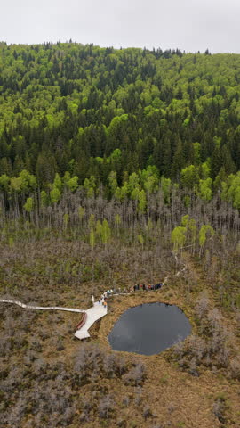Overhead aerial view of a dark bog pond with a boardwalk platform and visitors, Tinovul Mohos, Harghita, Romania.