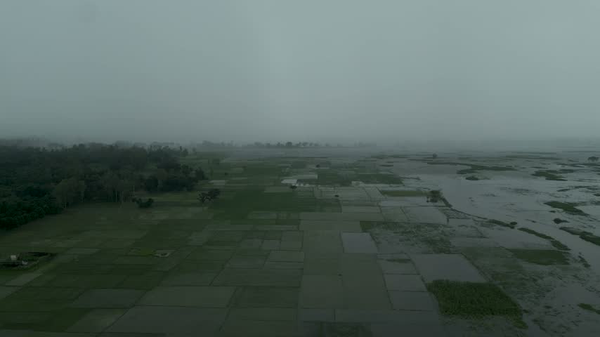High altitude aerial drone shot capturing a heavy misty rain curtain and fog moving over vast flooded paddy fields and green agricultural farmland. Moody monsoon nature footage under a dark, gloomy overcast sky.

