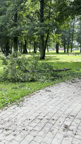 Paved Park Walkway with Fallen Branches and Trash Bin, Vertical Video