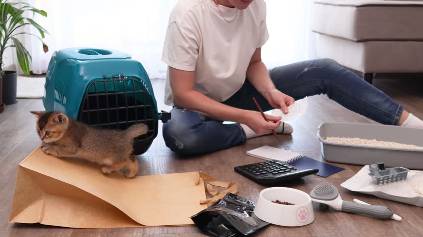 A woman reviews receipts and writes down pet expenses beside a calculator and notebook while a curious kitten climbs onto a paper bag and explores the setup.
