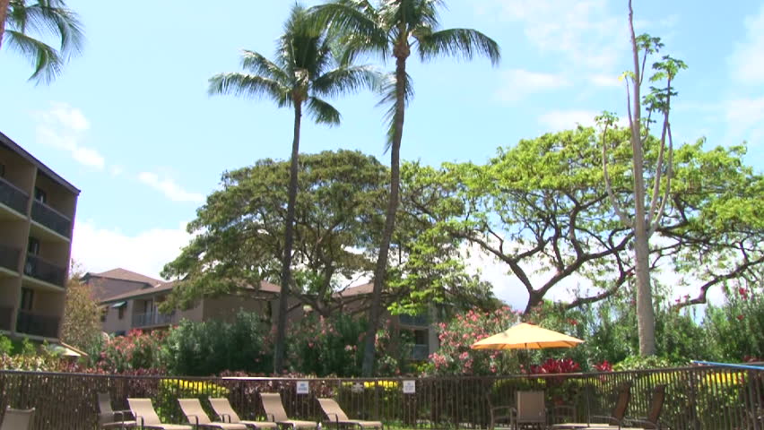 Swimming pool scenic at tropical resort in Hawaii, tilt down.
