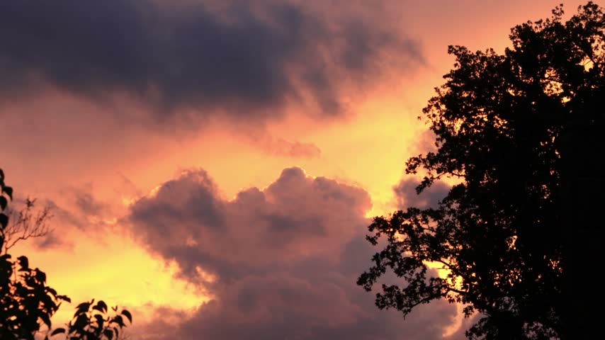 landscape trees clouds at dusk
