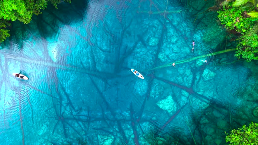 Aerial view of adult men and women paddleboarding and swimming in a clear blue lake with submerged trees and green palms at Paisupok Lake, Indonesia.