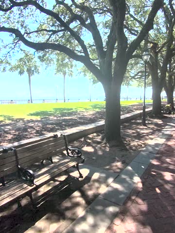 Footage of a gorgeous landscape at Waterfront Park in Charleston South Carolina USA