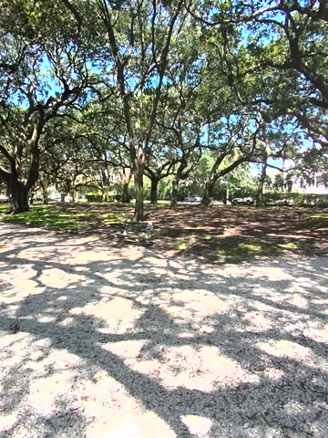 Footage of a gorgeous landscape at White Point Garden in Charleston South Carolina USA