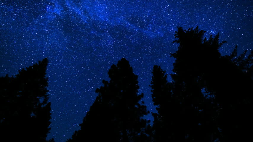 Sequoia National Park Star Trails of Milky Way Galaxy Perseids Meteor Shower Forest Astrophotography Night Sky Time Lapse in California USA