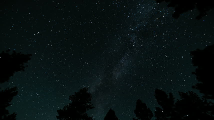 Milky Way Galaxy in Southwest Sky Over Mountain Trees 15mm Tilt Down Astrophotography Time Lapse California USA