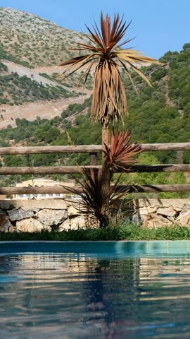 Vertical video of a Greek landscape with a swimming pool in the foreground. In the background is a tourist hotel under a mountain. Palm leaves sway in the wind. Crete, Greece.