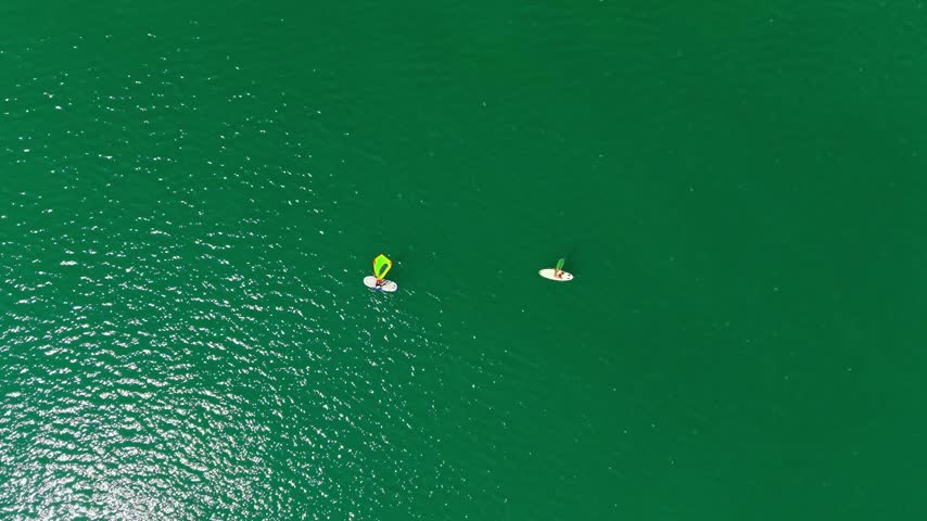 Two individuals are paddle boarding on a green ocean on a clear day. Sunlight reflects on the water surface.