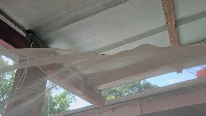 Green Praying Mantis Sitting On A Laundry Clip Window Curtains Breeze While Wind Is Blowing