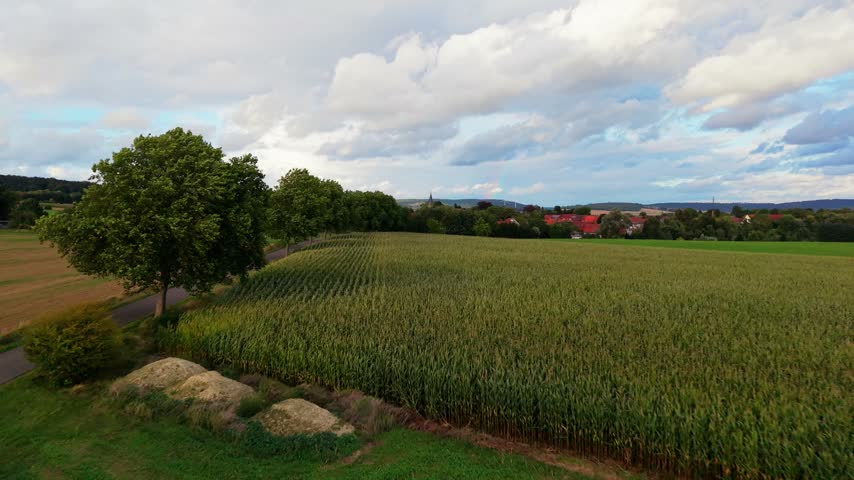 Aerial view of a lush corn field with roadside trees and boulders, overlooking a village with red rooftops and a faint rainbow