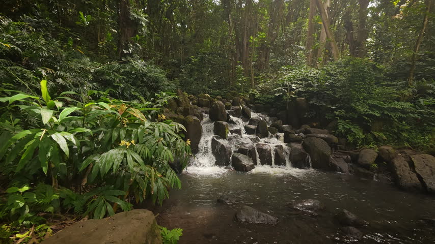 Waterfall in the Wailua State Park, Kauai, Hawaii