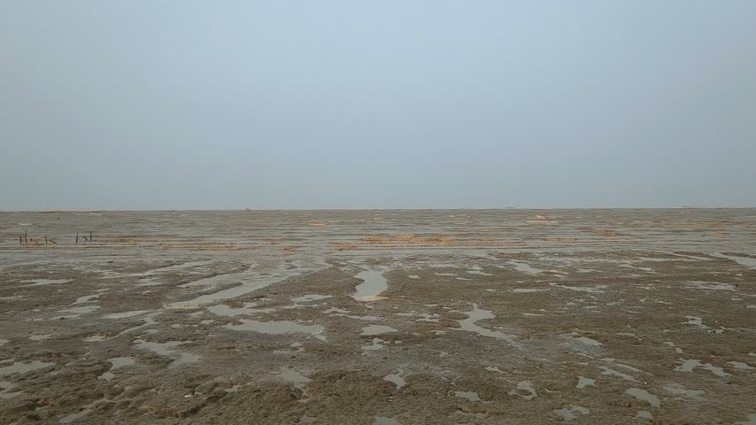 A scenic view of a wide muddy beach mudflat at low tide under a clear blue sky