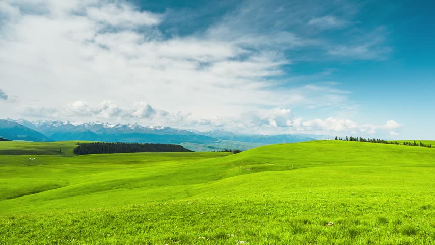 Expansive green grassland with rolling hills and winding path under clear blue sky, vast open meadow landscape in peaceful summer nature	