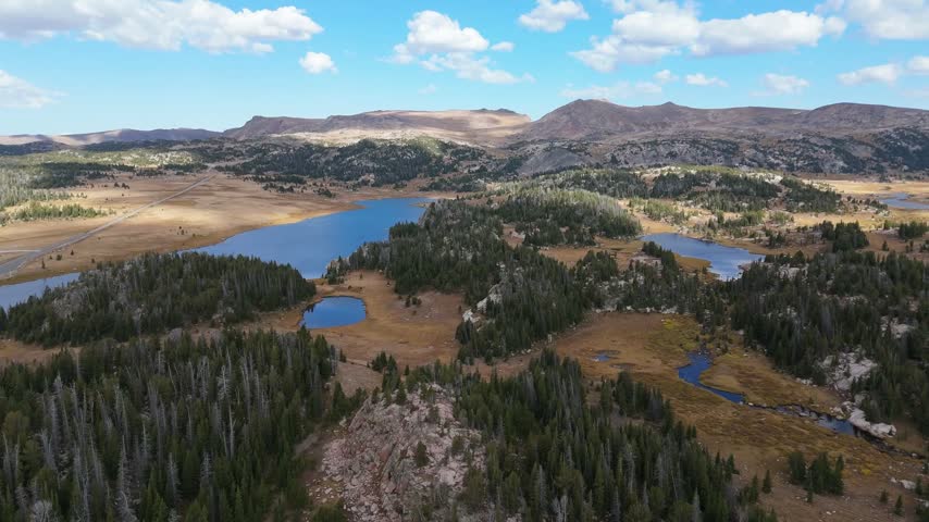 Aerial view of Beartooth lake and pine forests surrounded by mountain peaks under a blue sky, Scenic drone shot of alpine plateau wilderness landscape
