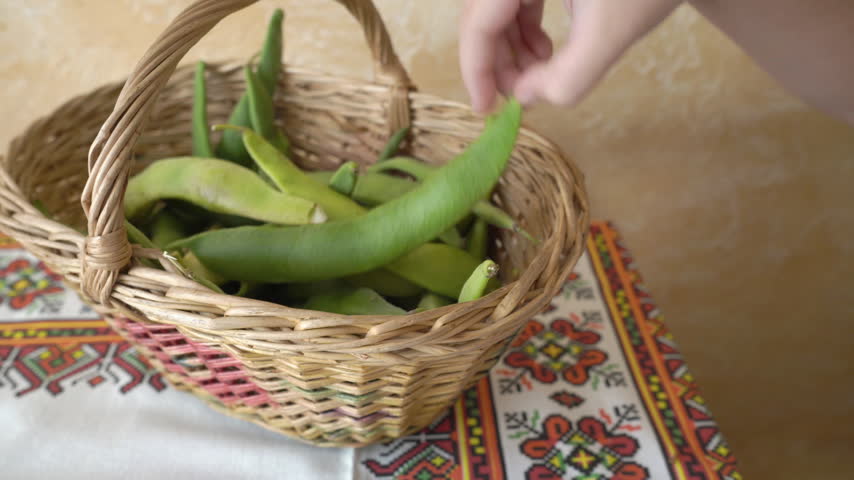 Little girl shelling fresh green beans close up, Child hands peeling beans into a ceramic plate