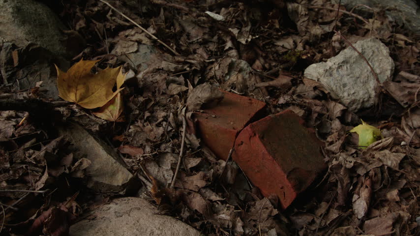 Fragmented red brick rests on a bed of dry leaves and rocks on a forest floor, hinting at human traces in a natural setting and themes of decay or abandoned structures.