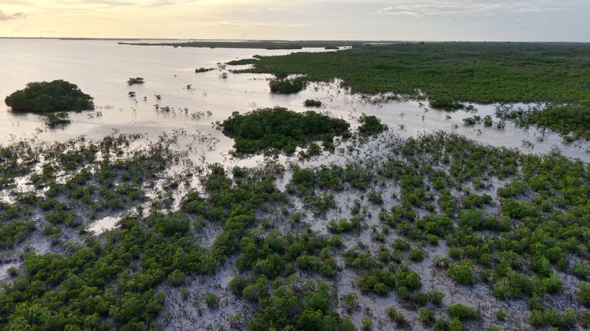 Drone moving forward over small mangrove nurseries in clam ocean waters toward a larger island during a Florida Keys sunset.