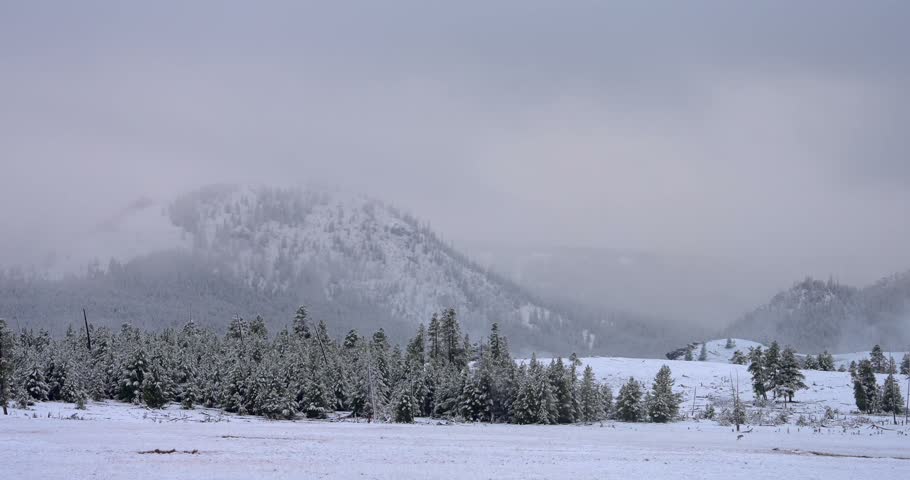 Expansive snow covered Yellowstone landscape framed by trees and a distant mountain, beneath a dramatic cloud filled sky creating a cinematic winter wilderness scene.