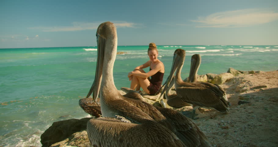 Female traveler relaxing with pelicans on Caribbean rocks in Tulum Mexico.