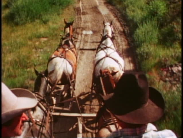 POV from stagecoach, horses ahead, drivers, bouncy, Yellowstone National Park