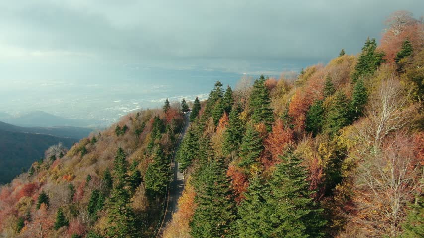 Aerial drone flight over autumn treetops revealing a mountain road under heavy fog in Kartepe Kocaeli, Turkey.