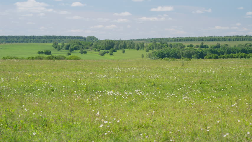 A Beautiful Green Meadow Sprawled Beneath Clear Blue Skies That Are So Inviting and Bright
