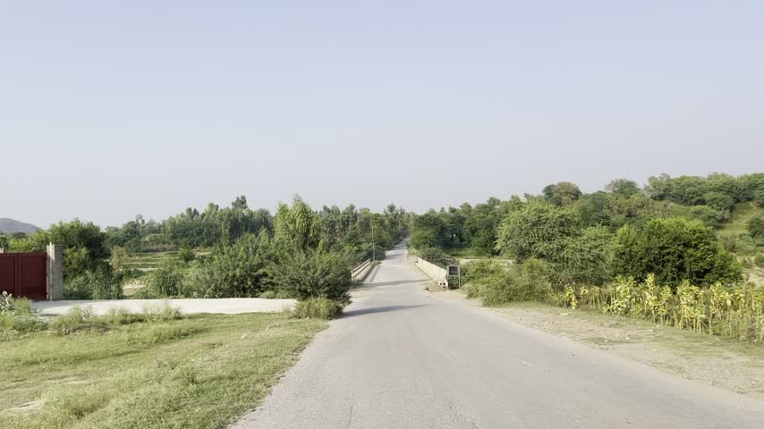 Road River Bridge Nature Trees sun landscape 