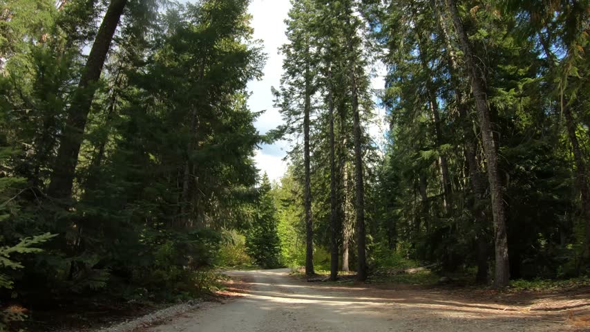 Driving Plate Dirt Road POV Washington State Pacific Northwest to Lake Wenatchee. Beautiful Day Winding Road, Mountains, Trees, Forest 2
