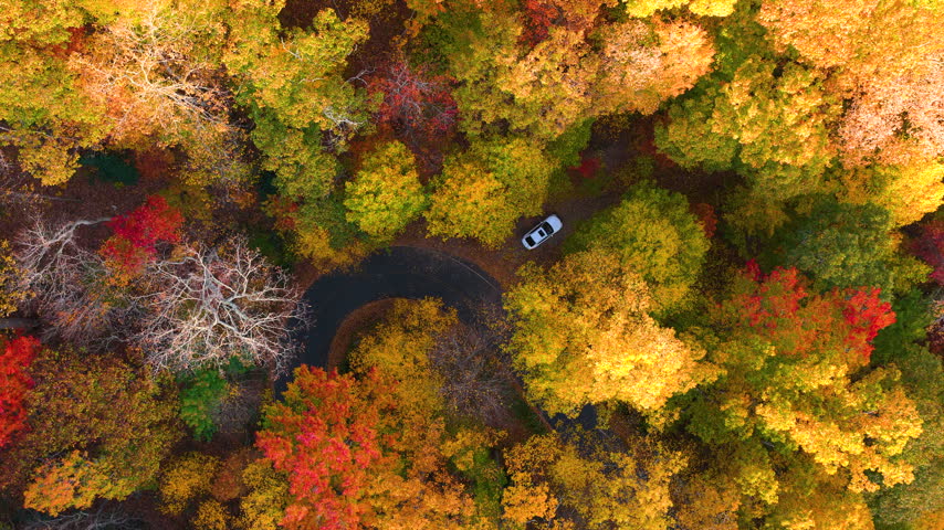 Quiet overlook in the Tennessee Appalachians with a parked vehicle enjoying breathtaking views across colorful forests during the fall season.